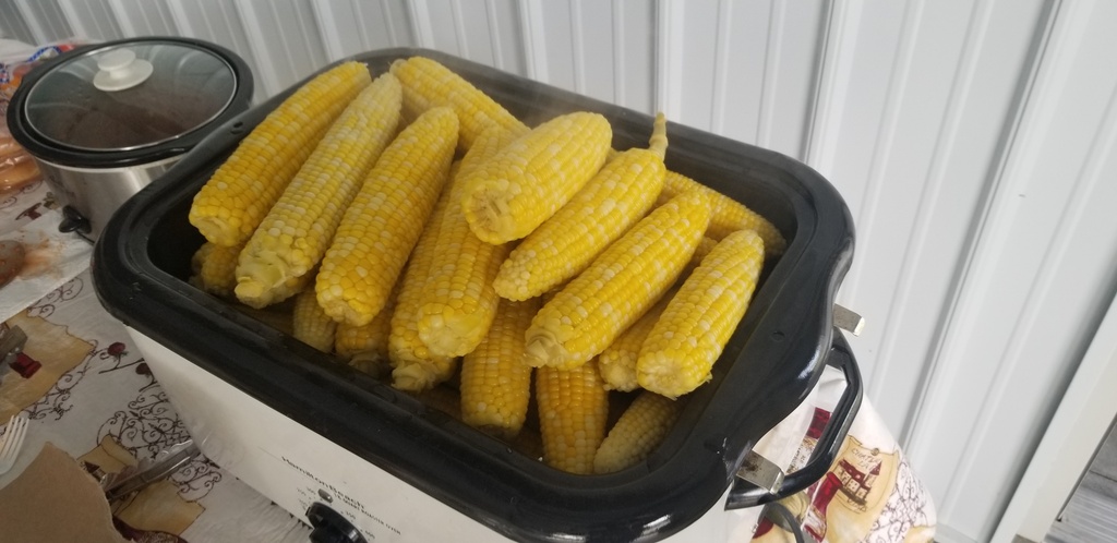 Name:  corn.jpg
Views: 1528
Size:  144.4 KB